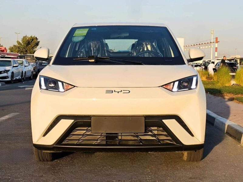 2025 BYD Seagull FLYING EDITION ELECTRIC FULL OPTION White