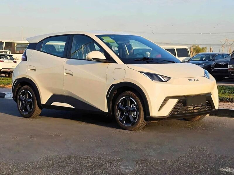 2025 BYD Seagull FLYING EDITION ELECTRIC FULL OPTION White