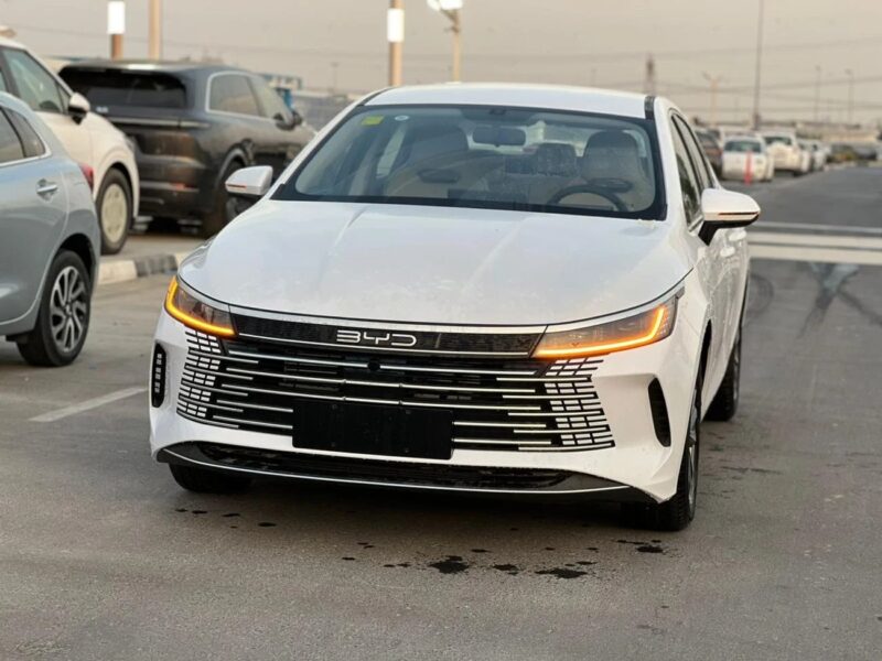 2025 BYD Destroyer 05 BYD Destroyer 05 White-Beige