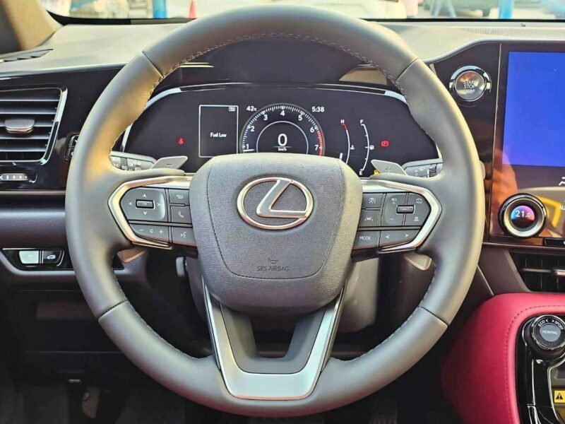 2025 Lexus NX350 ELITE TURBO CHARGED 2.4L PETROL Red White