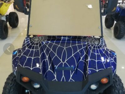 UTV 200CC c 4 stroke engine air cooled single cylinder Blue