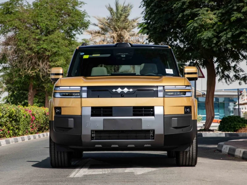 2025 BYD Leopard TITANIUM 7 ULTRA 0KM Gold Grey SUV