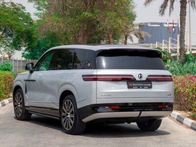 2025 Denza N9 Prestige 4-Cylinder Engine Silver White VIP SEAT