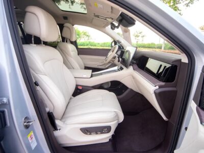 2025 Denza N9 Prestige 4-Cylinder Engine Silver White VIP SEAT