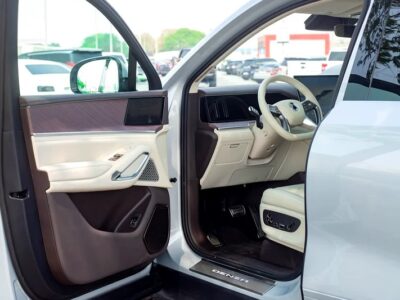 2025 Denza N9 Prestige 4-Cylinder Engine Silver White VIP SEAT