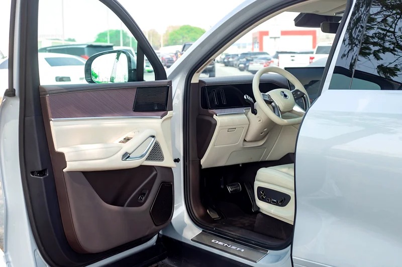 2025 Denza N9 Prestige 4-Cylinder Engine Silver White VIP SEAT