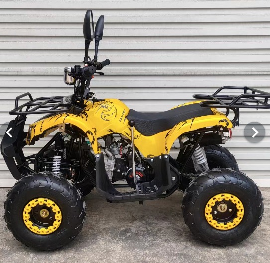 Mini Atv 125CC Single Cylinder 4-stroke air cooled Blue