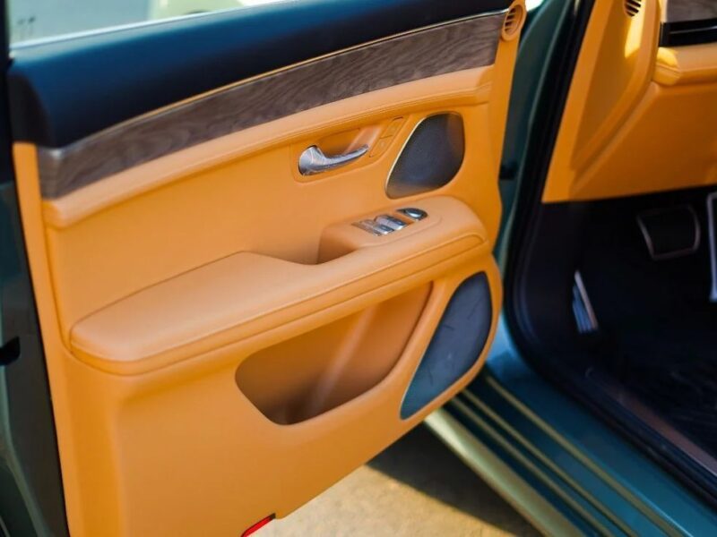 Seres 5 2025 Seres 5 Comfortline RWD 1.5T Hybrid Plug-In Green Tan