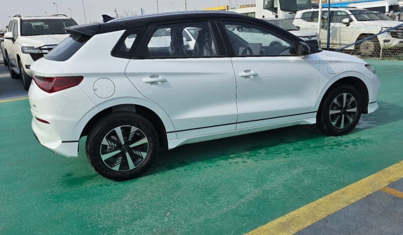 2024 BYD E2 Pure Electric Vehicle EV White Black