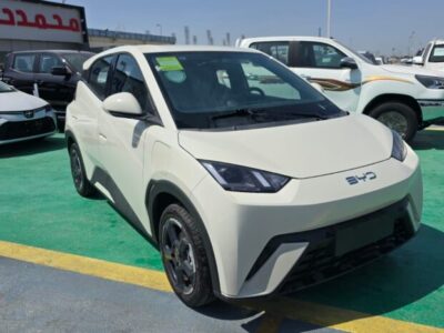 2024 BYD Seagull All-electric Vehicle EV Beige Blue