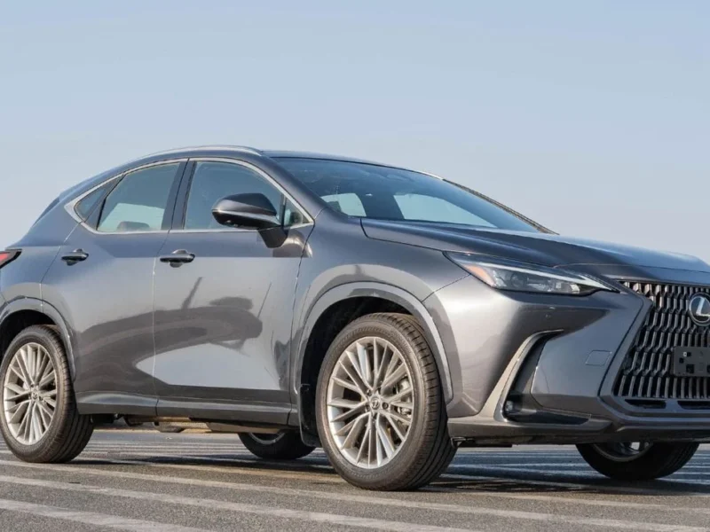 Lexus NX350h Hybrid 2.5L 2025 Lexus NX350h 2.5L AT Hybrid Grey Red