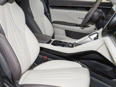 Executive 2025 BYD Song Plus EV Luxury Edition 0KM Grey Beige SUV