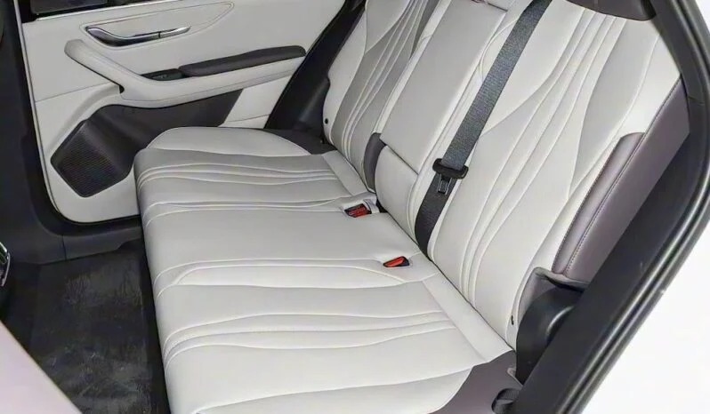 Executive 2025 BYD Song Plus EV Luxury Edition 0KM Grey Beige SUV