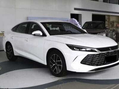 2024 BYD QIN L DM-i SURPASS EDITION 0KM White Beige Sedan