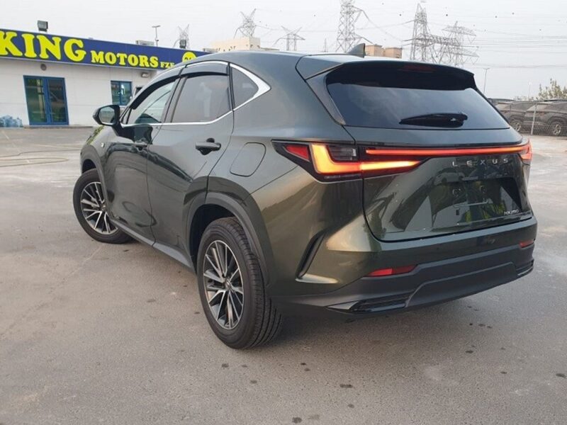 2023 Lexus NX 250 2.5 CC PETROL RHD Green Tan GCC Specs