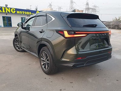 2023 Lexus NX 250 2.5 CC PETROL RHD Green Tan GCC Specs