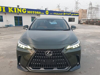 2023 Lexus NX 250 2.5 CC PETROL RHD Green Tan GCC Specs