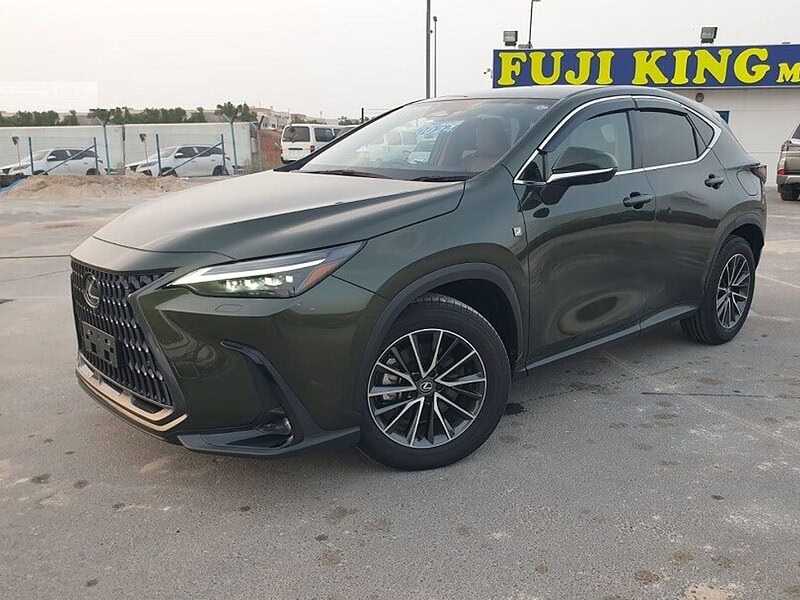 2023 Lexus NX 250 2.5 CC PETROL RHD Green Tan GCC Specs
