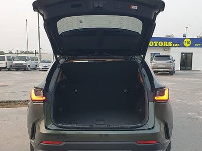 2023 Lexus NX 250 2.5 CC PETROL RHD Green Tan GCC Specs