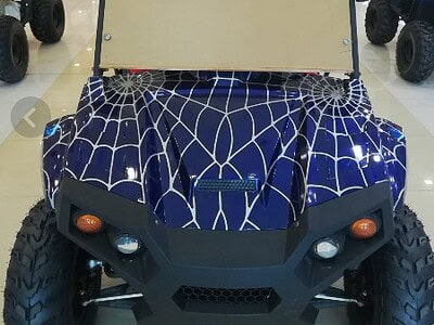 UTV 200CC c 4 stroke engine air cooled single cylinder Blue