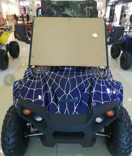 UTV 200CC c 4 stroke engine air cooled single cylinder Blue