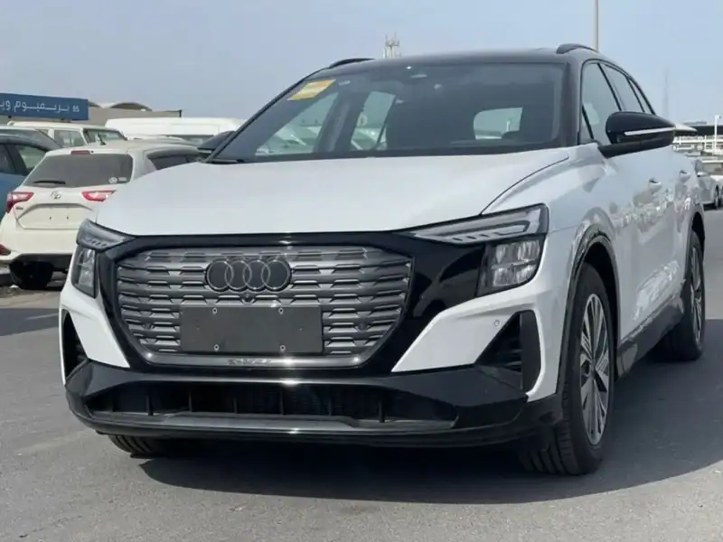 Audi Q5 2024 AUDI Q5 Etron-CLTC Range 560KM 160km/h White Grey