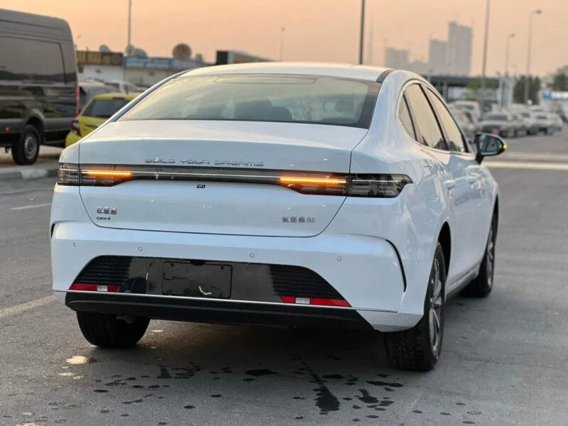 2025 BYD Destroyer 05 BYD Destroyer 05 White-Beige