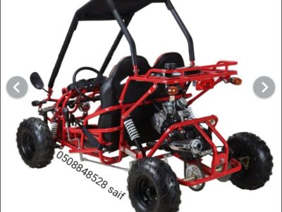 Go Kart 125CC 4 stroke engine single drive Red