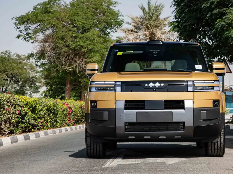 2025 BYD Leopard TITANIUM 7 ULTRA 0KM Gold Grey SUV