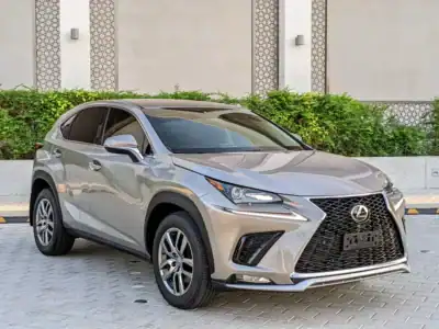 2017 Lexus NX-Series NX 200t 4 Cylinders Engine Silver Black