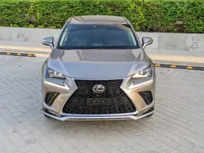 2017 Lexus NX-Series NX 200t 4 Cylinders Engine Silver Black