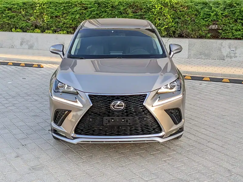 2017 Lexus NX-Series NX 200t 4 Cylinders Engine Silver Black