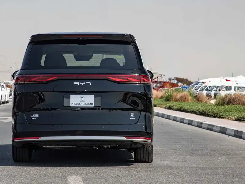 2025 BYD Xia DM-I 180KM EXELLENCE EDITION Hybrid Van Black Beige