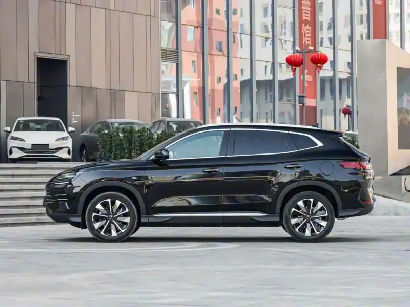 2025 BYD Song Plus DM-I FLAGSHIP SMART DRIVING EDITION Black Beige