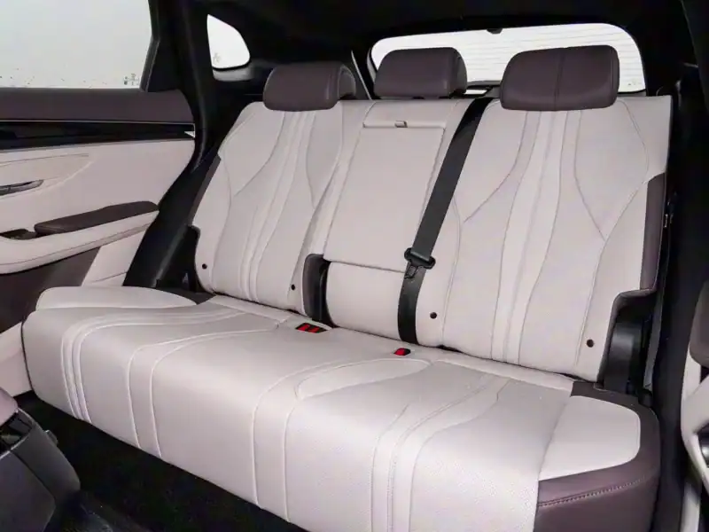 2025 BYD Song Plus DM-I FLAGSHIP SMART DRIVING EDITION Black Beige