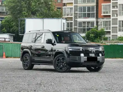 2025 BYD Leopard Titanium 7 ULTRA EDITION SMART DRIVING Black Grey