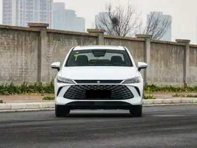 2025 BYD QIN PLUS DM-I BEYOND SMART DRIVING EDITION Hybrid White Beige