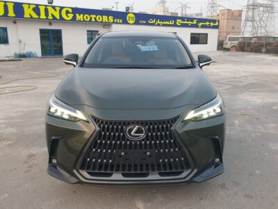 2023 Lexus NX 250 2.5 CC PETROL RHD Green Tan GCC Specs