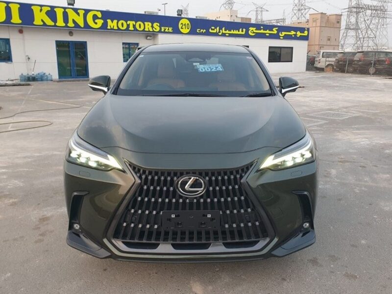 2023 Lexus NX 250 2.5 CC PETROL RHD Green Tan GCC Specs