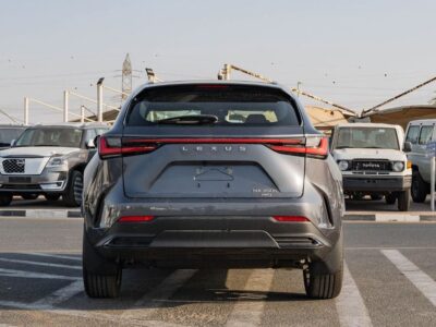 Lexus NX350h Hybrid 2.5L 2025 Lexus NX350h 2.5L AT Hybrid Grey Red