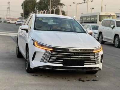 2025 BYD Destroyer 05 BYD Destroyer 05 White-Beige