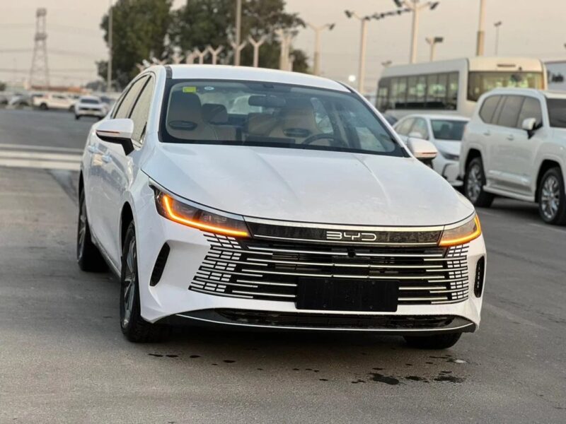 2025 BYD Destroyer 05 BYD Destroyer 05 White-Beige