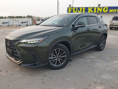 2023 Lexus NX 250 2.5 CC PETROL RHD Green Tan GCC Specs