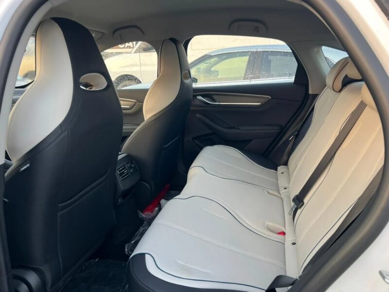 2025 BYD Destroyer 05 BYD Destroyer 05 White-Beige