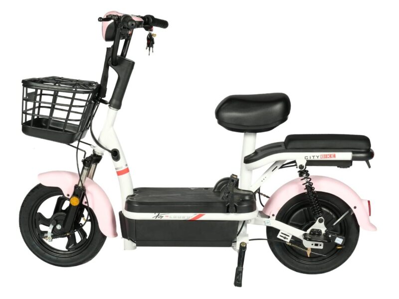 Electric Scooter 350W 35KM/H 48V/12AH 25-30KM Range