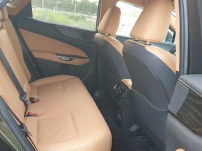 2023 Lexus NX 250 2.5 CC PETROL RHD Green Tan GCC Specs