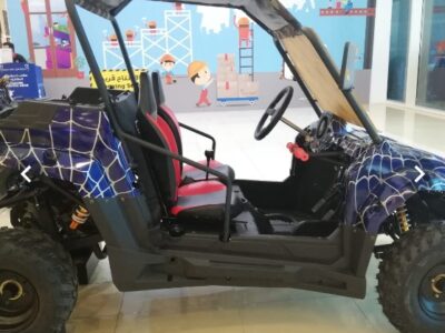 UTV 200CC c 4 stroke engine air cooled single cylinder Blue