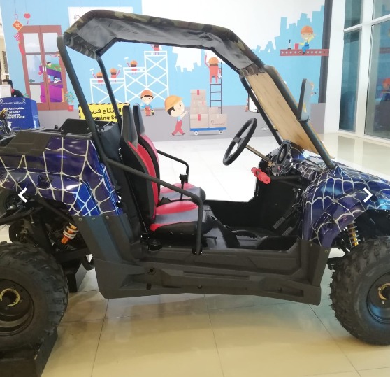 UTV 200CC c 4 stroke engine air cooled single cylinder Blue