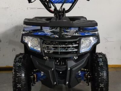 Electric quad 36v 12v/12Ahx3 36v 500w Controller Blue