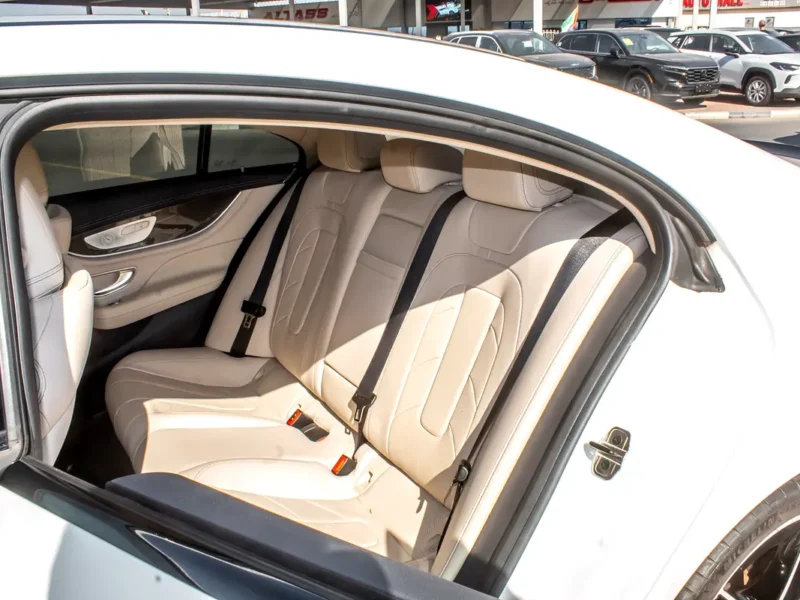 2019 Mercedes-Benz CLS-Class CLS 53 AMG 6 Cylinders Engine White Beige